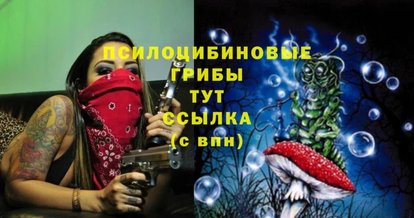 стаф Верхний Тагил